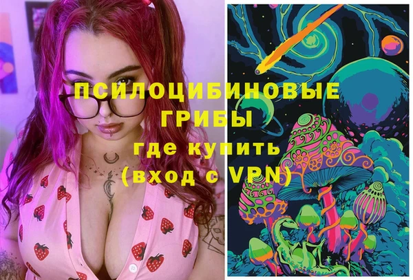 PSILOCYBIN Зерноград