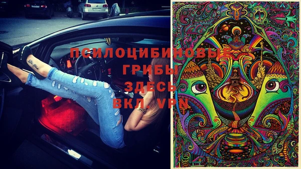PSILOCYBIN Зерноград