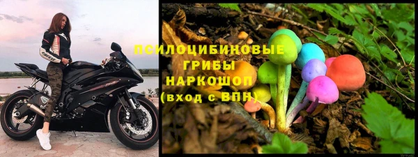 молекула духа Зеленокумск