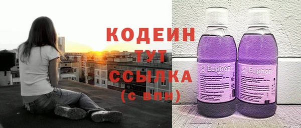 СК Зеленодольск