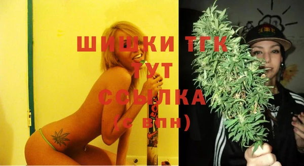 PSILOCYBIN Зерноград
