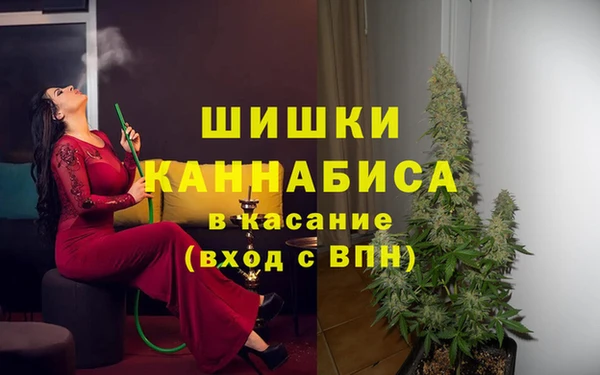 СК Зеленодольск