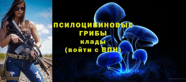 PSILOCYBIN Зерноград