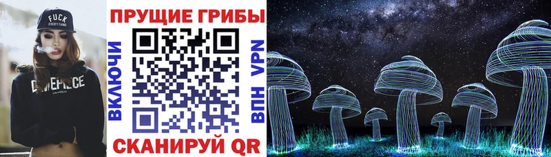 Купить где  Данков  Псилоцибиновые грибы мухоморы 